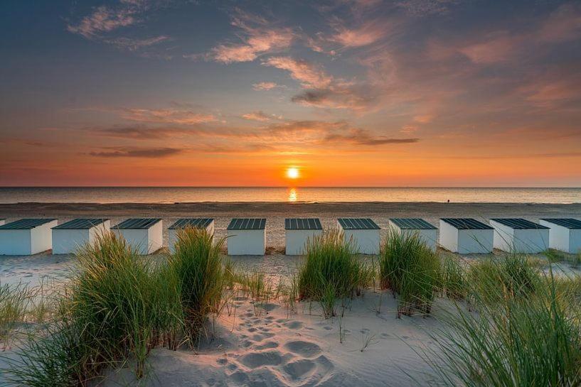 Beautifull House Beach Life 47 De Cocksdorp  Zewnętrze zdjęcie